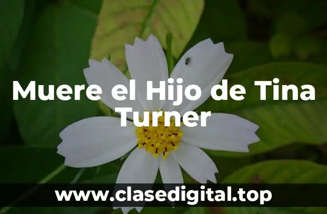 Muere el Hijo de Tina Turner