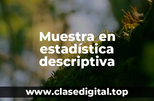 Muestra en estadística descriptiva