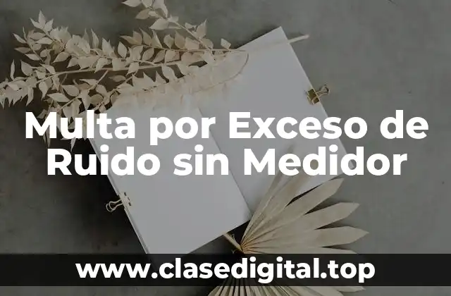 ¿Qué es la Multa por Exceso de Ruido sin Medidor?