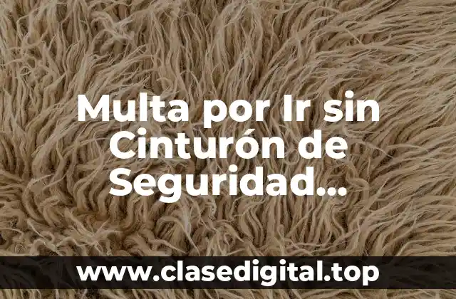 Multa por Ir sin Cinturón de Seguridad Acompañante