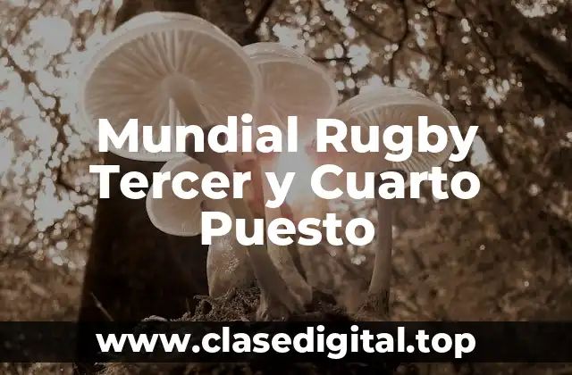 Mundial Rugby Tercer y Cuarto Puesto