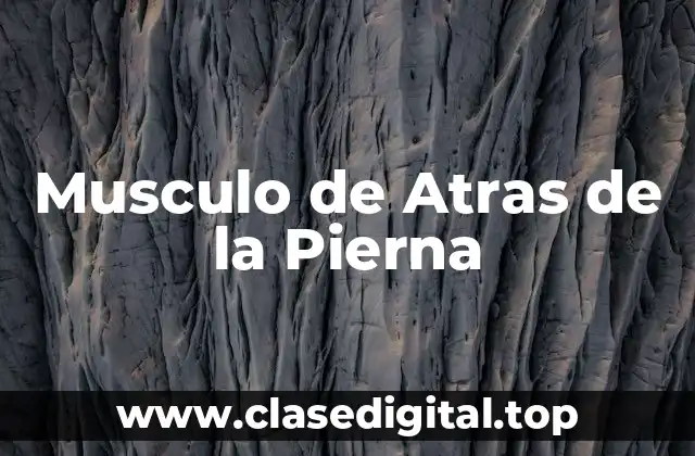 Musculo de Atras de la Pierna