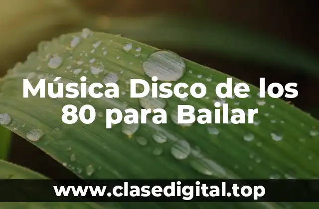 Música Disco de los 80 para Bailar