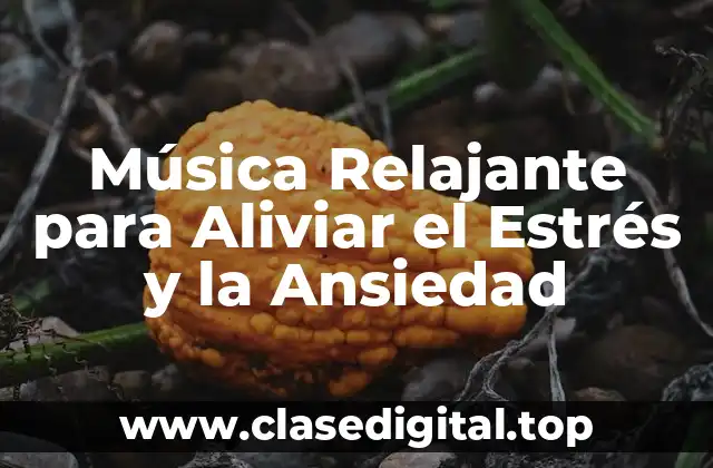 Música Relajante para Aliviar el Estrés y la Ansiedad