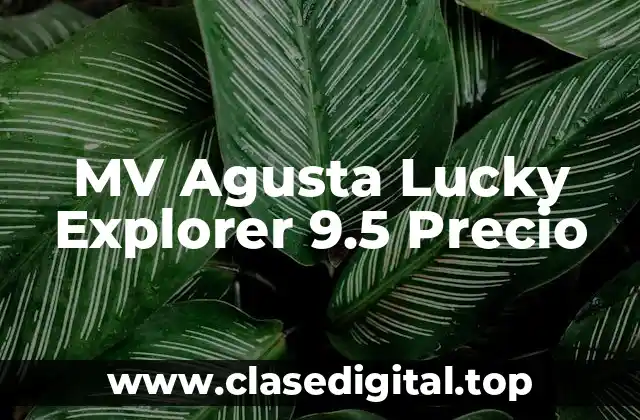 MV Agusta Lucky Explorer 9.5 Precio