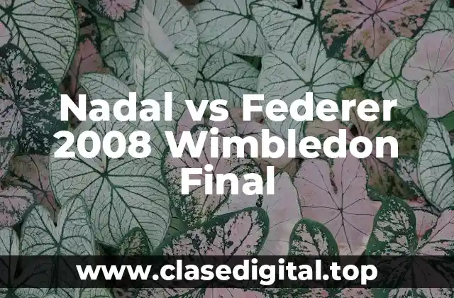Nadal vs Federer 2008 Wimbledon Final