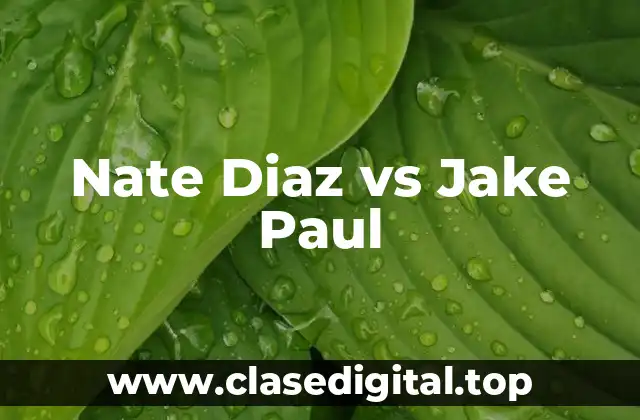 Nate Diaz vs Jake Paul