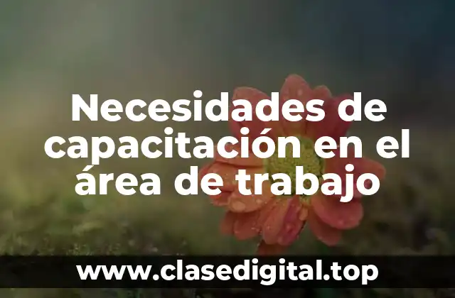 Ejemplos de necesidades de capacitación en el área de trabajo