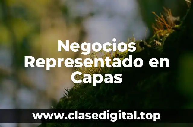 Negocios Representado en Capas