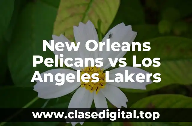 New Orleans Pelicans vs Los Angeles Lakers