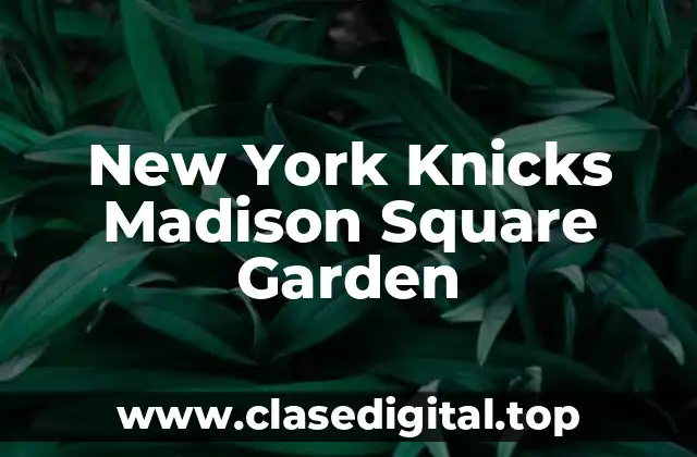 New York Knicks Madison Square Garden