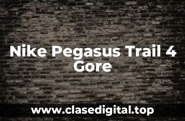 Nike Pegasus Trail 4 Gore