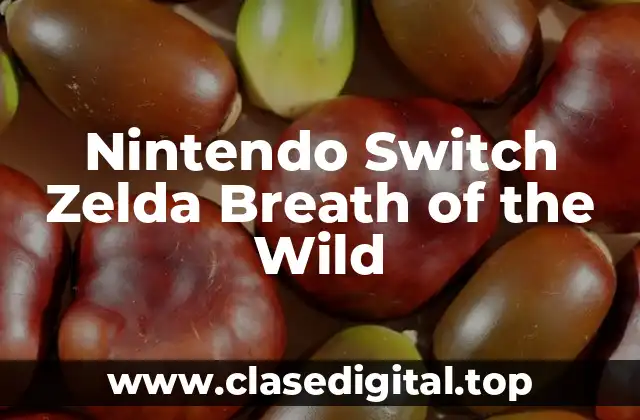 Nintendo Switch Zelda Breath of the Wild