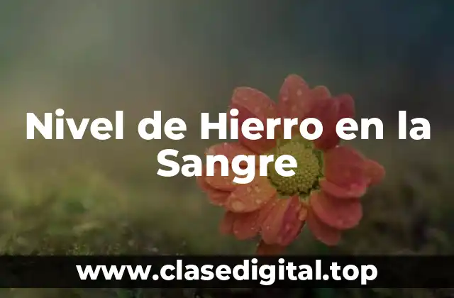 Nivel de Hierro en la Sangre