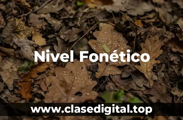 Nivel Fonético
