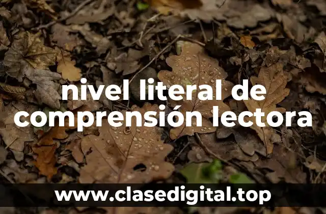 nivel literal de comprensión lectora