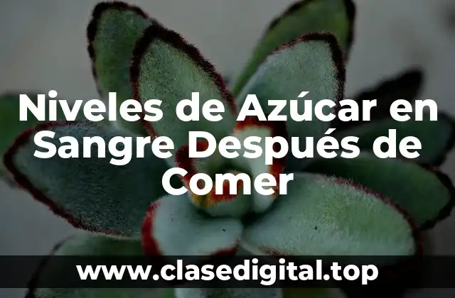 Niveles de Azúcar en Sangre Después de Comer