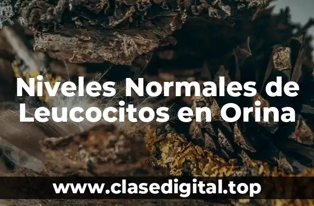 Niveles Normales de Leucocitos en Orina