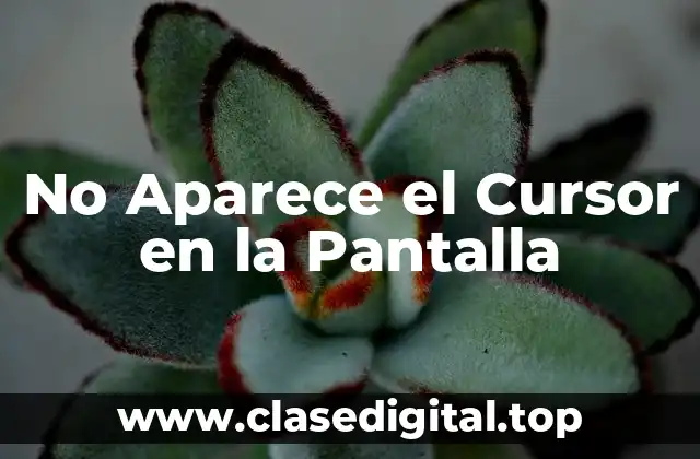 No Aparece el Cursor en la Pantalla