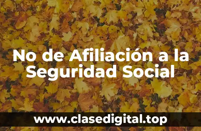 No de Afiliación a la Seguridad Social