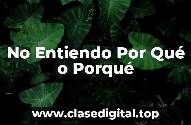 No Entiendo Por Qué o Porqué