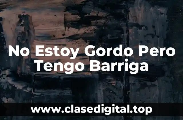 No Estoy Gordo Pero Tengo Barriga