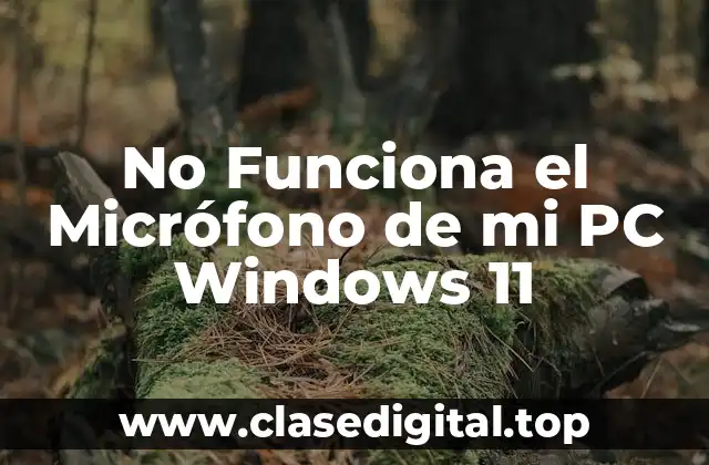 No Funciona el Micrófono de mi PC Windows 11