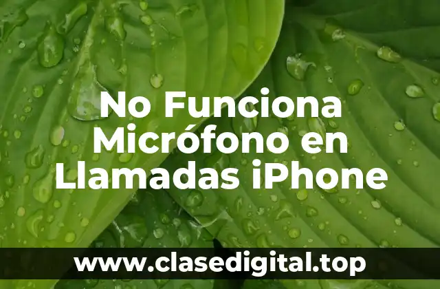 No Funciona Micrófono en Llamadas iPhone