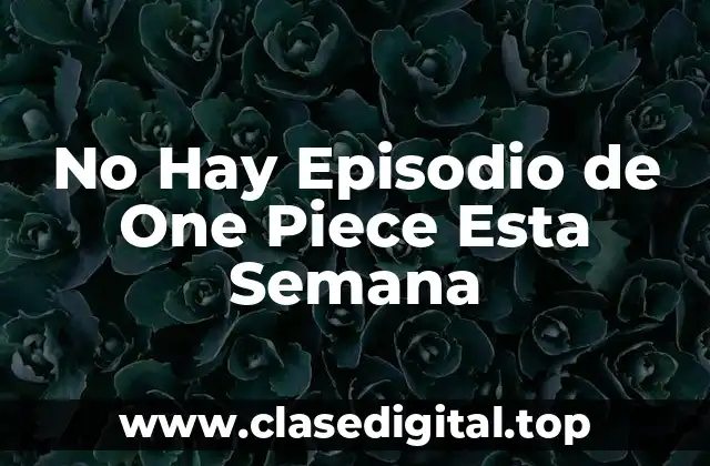 No Hay Episodio de One Piece Esta Semana