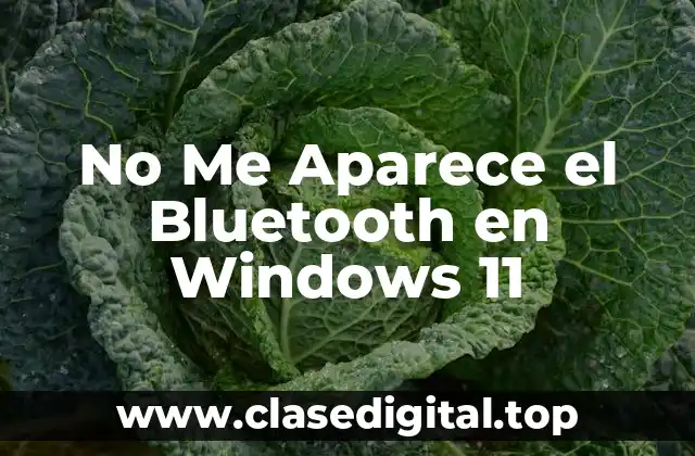 No Me Aparece el Bluetooth en Windows 11
