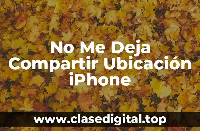 ¿Por qué No Me Deja Compartir Ubicación iPhone?