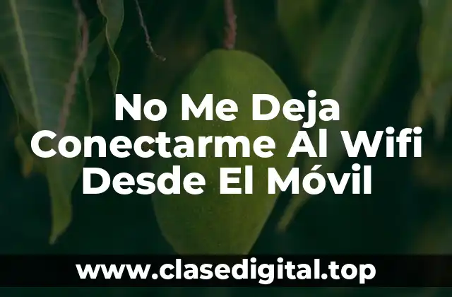 No Me Deja Conectarme Al Wifi Desde El Móvil