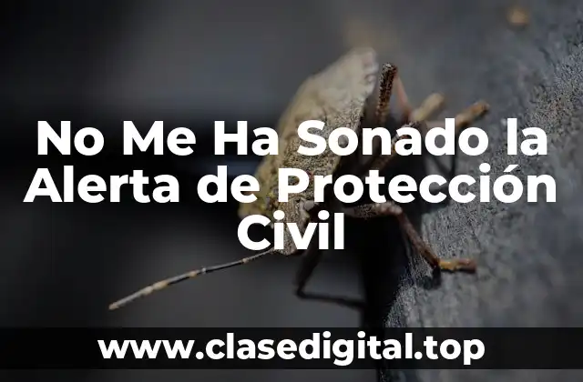 No Me Ha Sonado la Alerta de Protección Civil