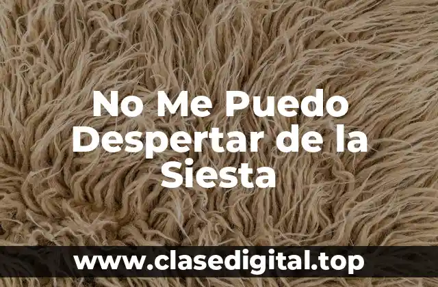 No Me Puedo Despertar de la Siesta