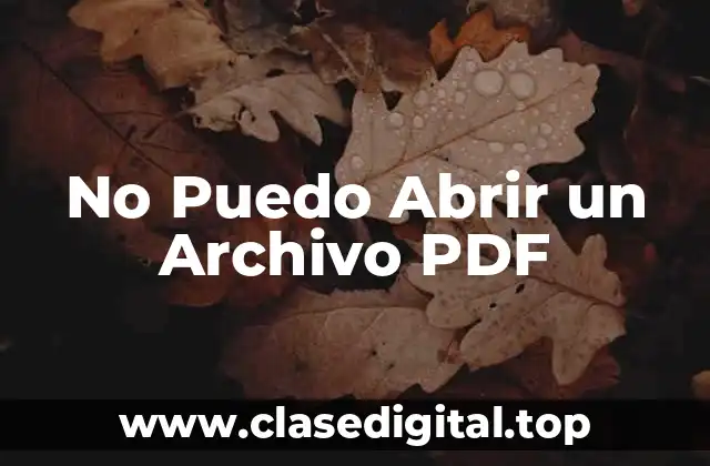 Causas Comunes por las que no Puedo Abrir un Archivo PDF