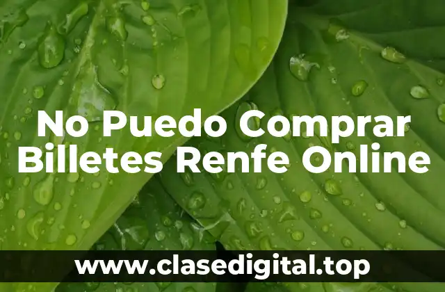 No Puedo Comprar Billetes Renfe Online