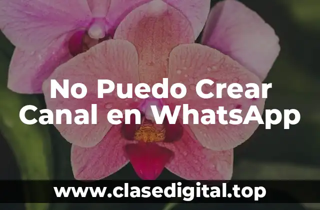 No Puedo Crear Canal en WhatsApp