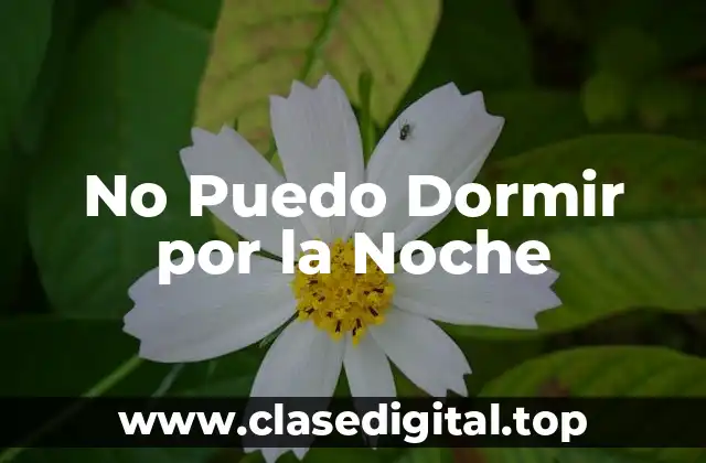 No Puedo Dormir por la Noche