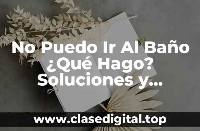 No Puedo Ir Al Baño ¿Qué Hago? Soluciones y Consejos