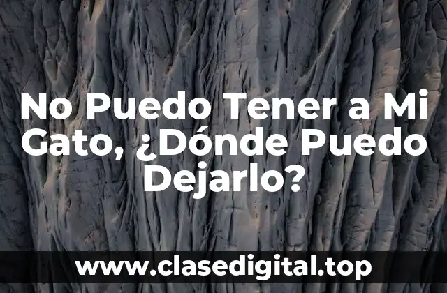 No Puedo Tener a Mi Gato, ¿Dónde Puedo Dejarlo?