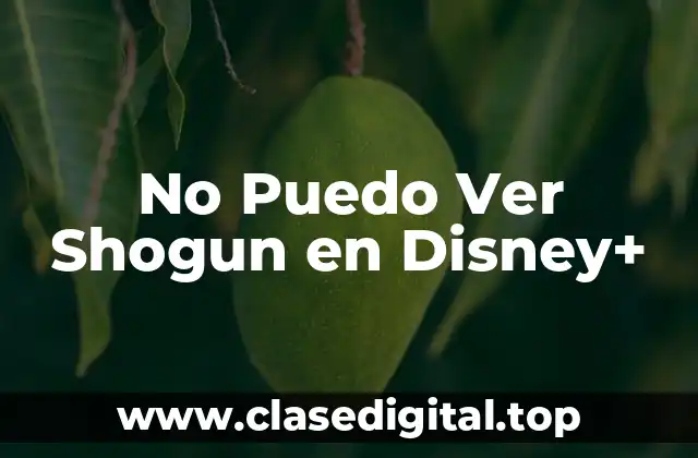 No Puedo Ver Shogun en Disney+