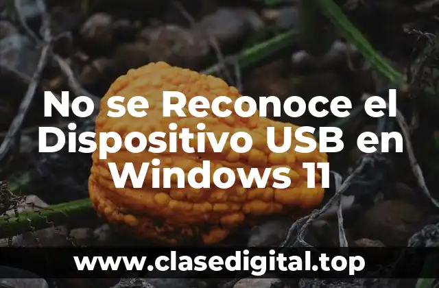 No se Reconoce el Dispositivo USB en Windows 11
