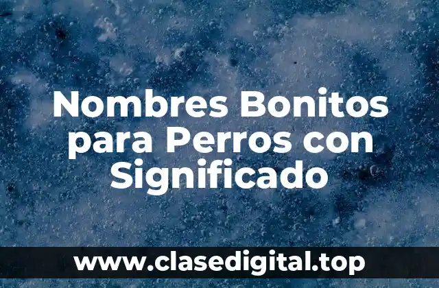 Orígenes y Significados de los Nombres de Perros