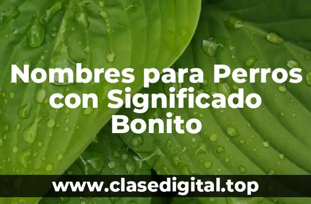 Nombres para Perros con Significado Bonito