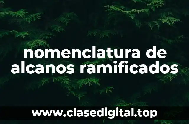 nomenclatura de alcanos ramificados
