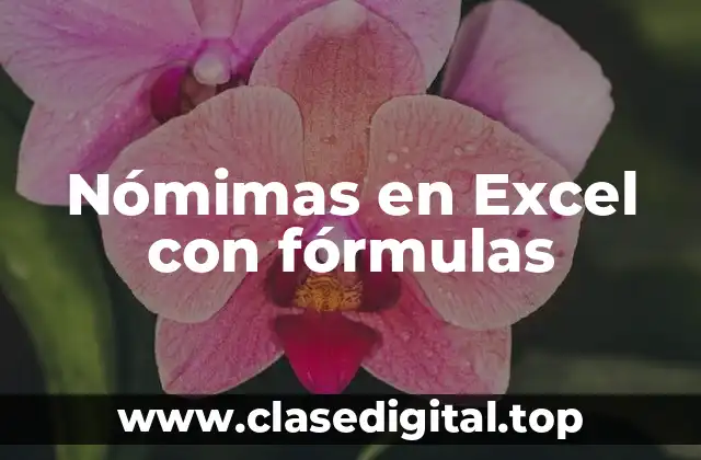 Nómimas en Excel con fórmulas