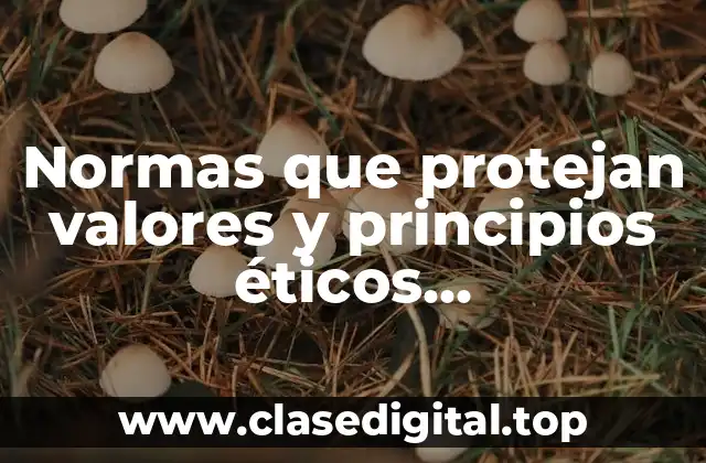 Normas que protejan valores y principios éticos fundamentales