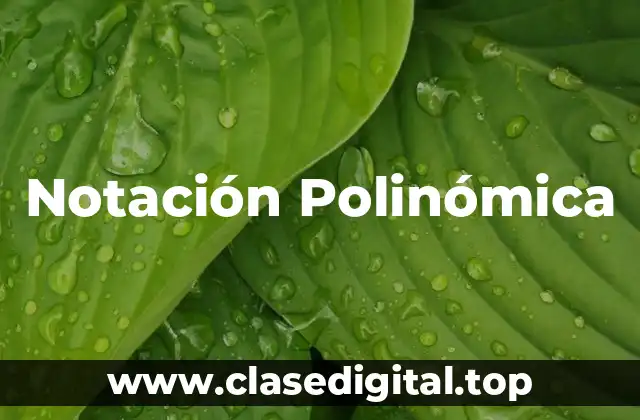 Ejemplos de Notación Polinómica