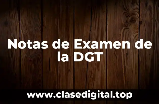 Notas de Examen de la DGT