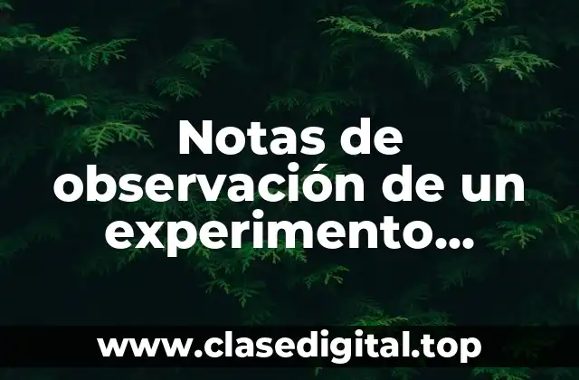 Notas de observación de un experimento científico